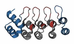 Voorbeeld van een DARPin