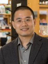 Yibin Kang, Princeton