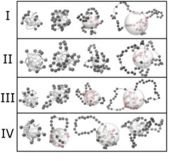 Transposoninvoegingen