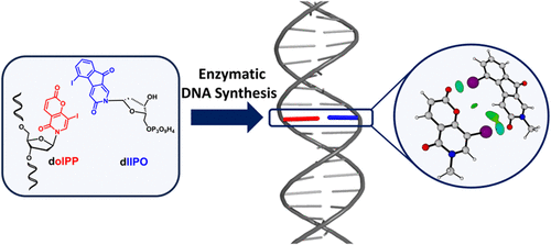 Vreemde halogeenbasen
